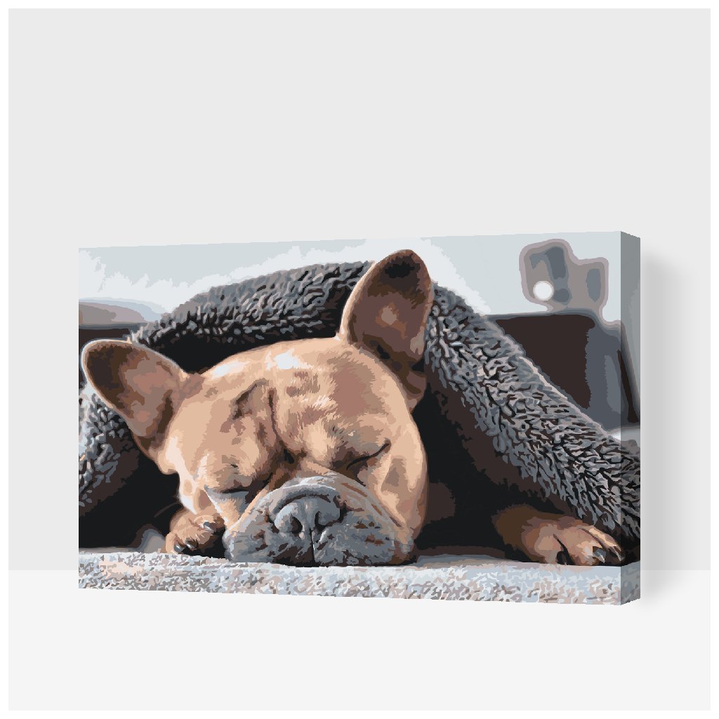 Müde Bulldogge